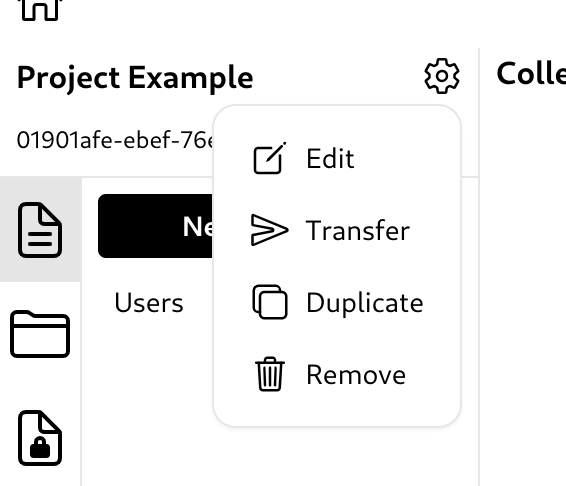 Project option